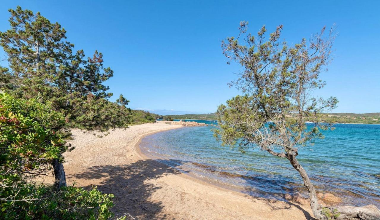 Residence Con Piscina A Palau, A Soli 150 Mt. Dal Mare Экстерьер фото